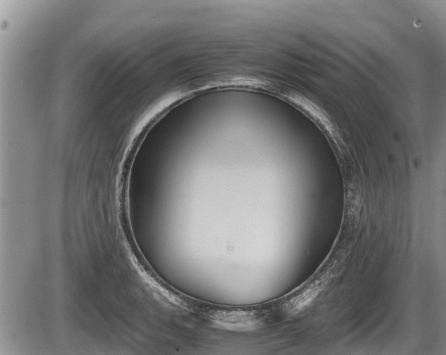 X0000085811135200703231329