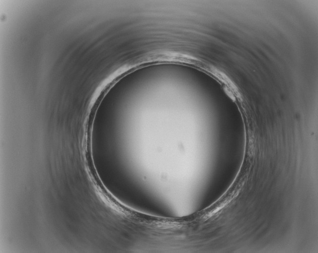 X0000085811136200703231329