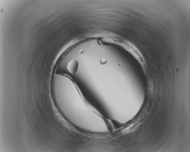 X0000085811138200703231329