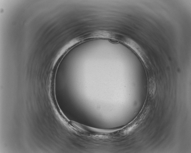 X0000085811139200703231329