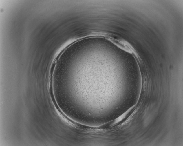 X0000085811143200703231329