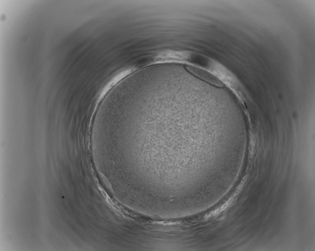 X0000085811145200703231329