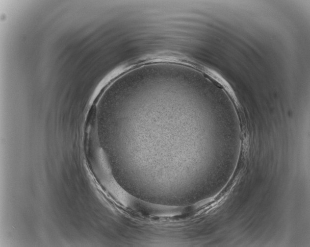 X0000085811146200703231329