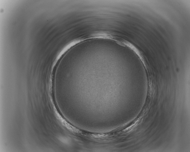 X0000085811147200703231329