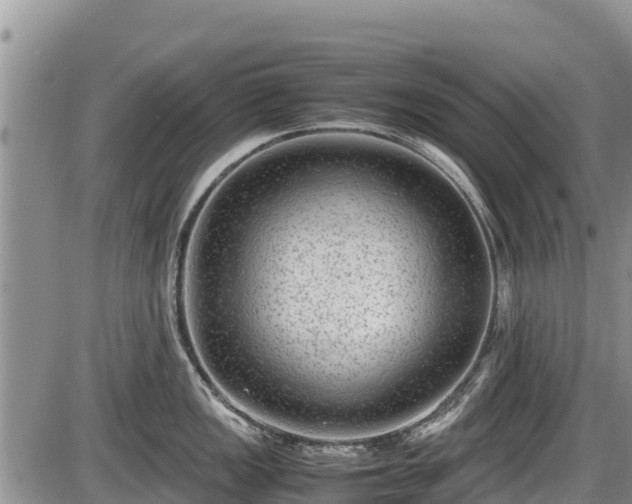 X0000085811149200703231329