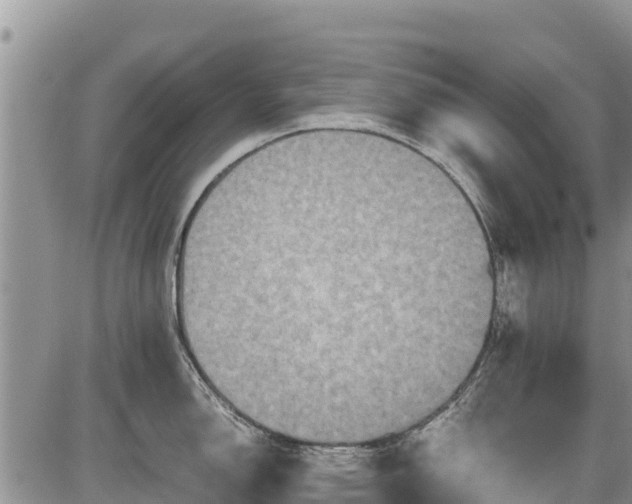 X0000085811150200703231329