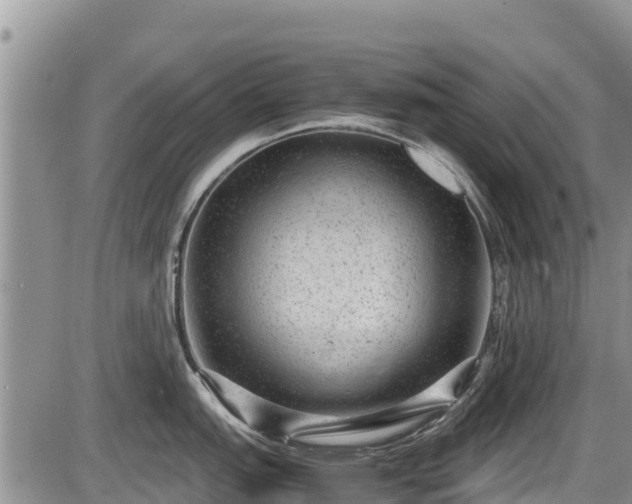 X0000085811151200703231329