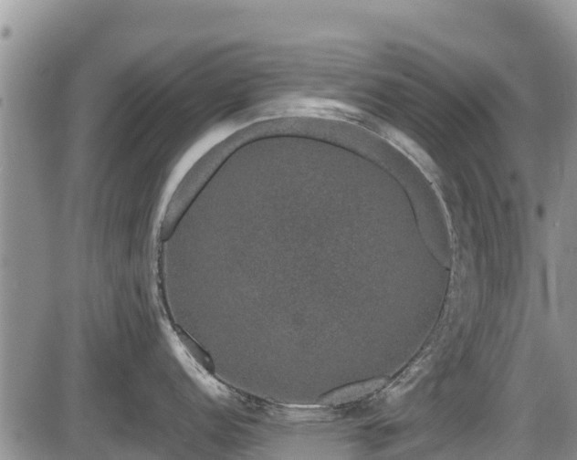 X0000085811152200703231329