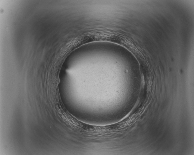 X0000085811153200703231328