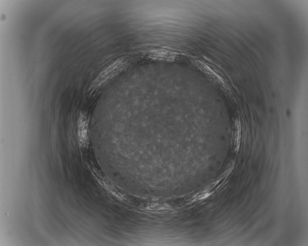 X0000085811154200703231328