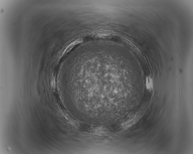 X0000085811155200703231328