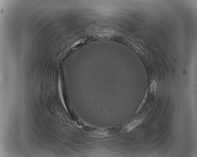 X0000085811156200703231328