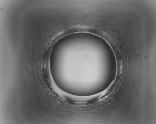 X0000085811157200703231328