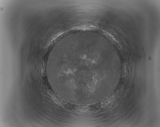 X0000085811158200703231328