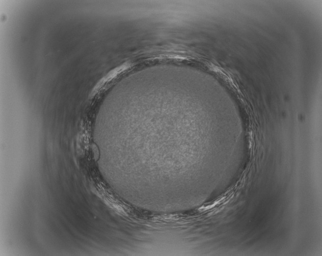 X0000085811159200703231328