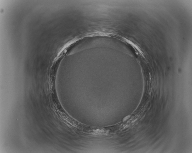 X0000085811160200703231328