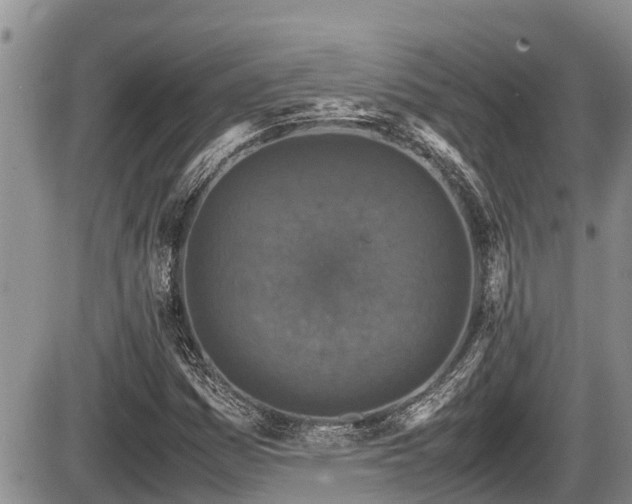 X0000085811161200703231328