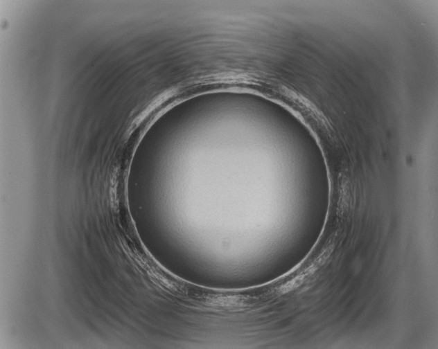 X0000085811162200703231328