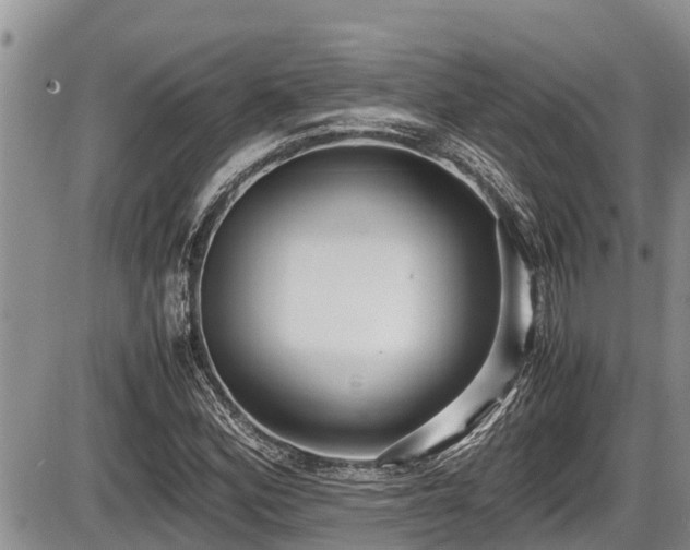 X0000085811164200703231328