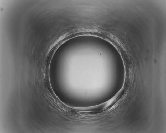 X0000085811165200703231328