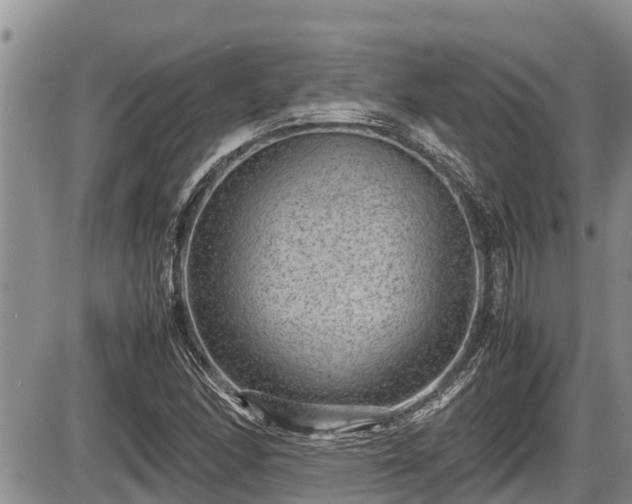 X0000085811166200703231328