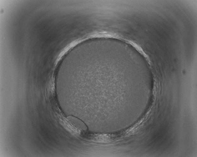 X0000085811167200703231328