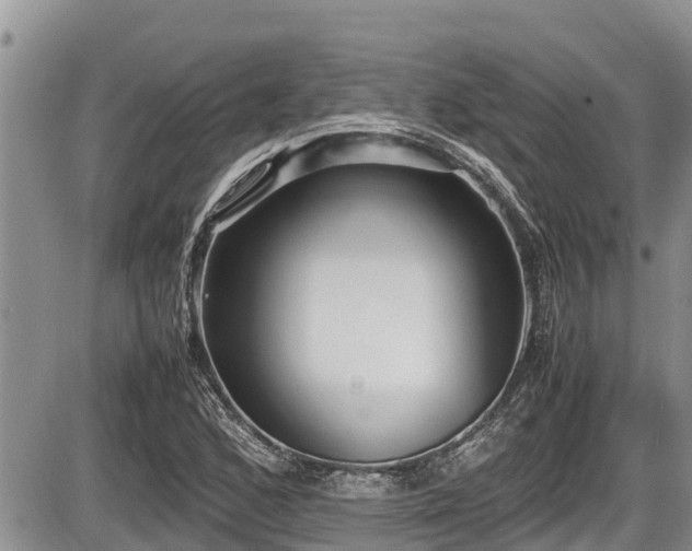 X0000085811168200703231328