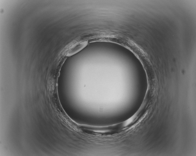 X0000085811169200703231328