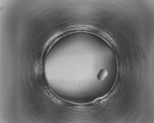 X0000085811172200703231328