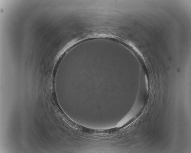 X0000085811173200703231328