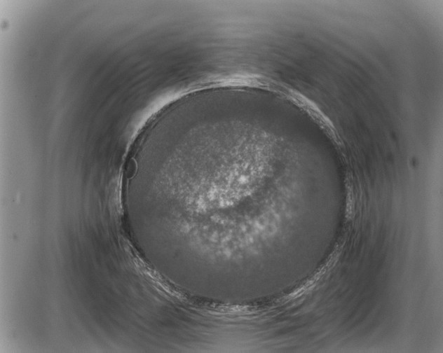 X0000085811174200703231328