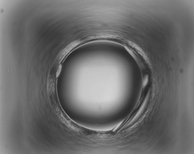 X0000085811177200703231328