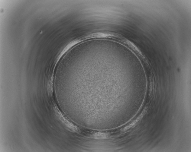 X0000085811178200703231328