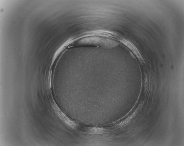 X0000085811180200703231328