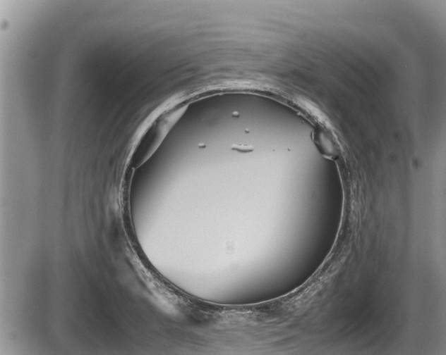 X0000085811181200703231328