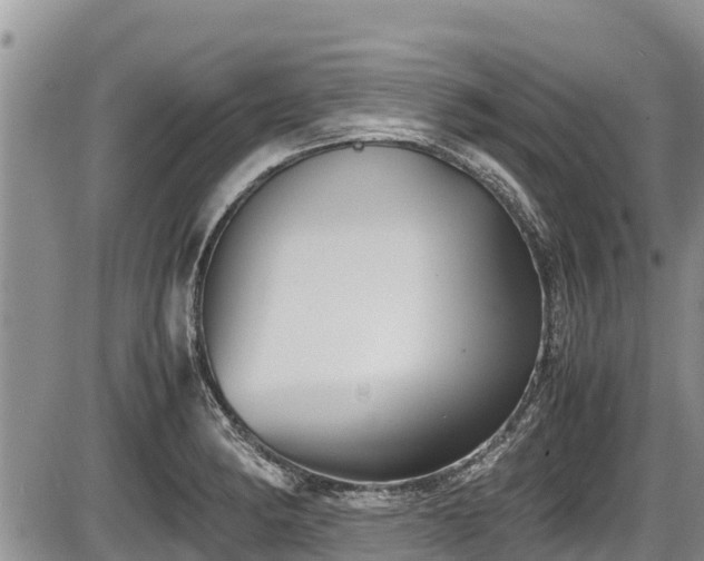 X0000085811182200703231328