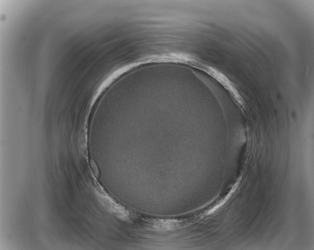 X0000085811184200703231328