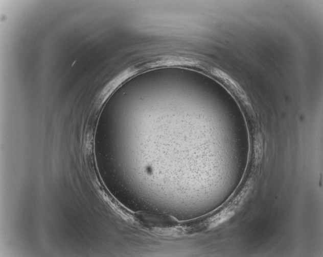 X0000085811185200703231328