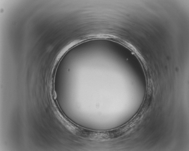 X0000085811187200703231328