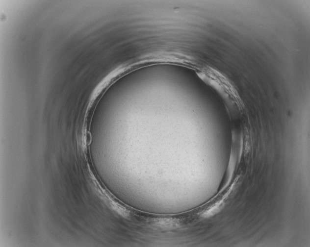 X0000085811188200703231328