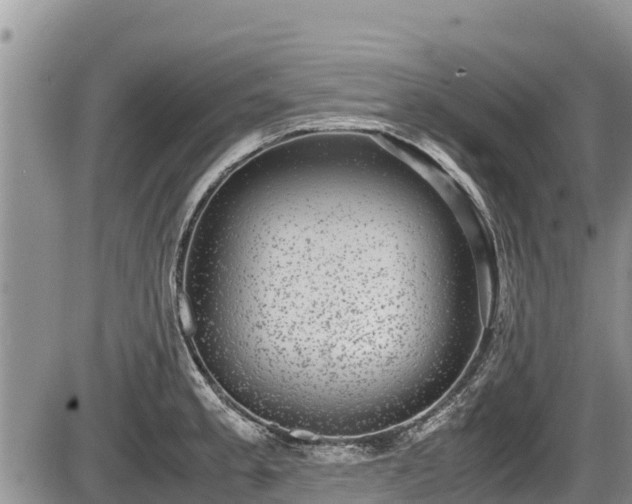 X0000085811189200703231328