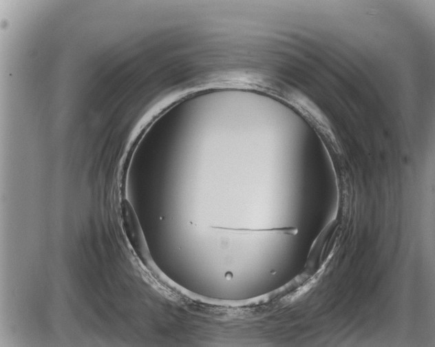 X0000085811192200703231328