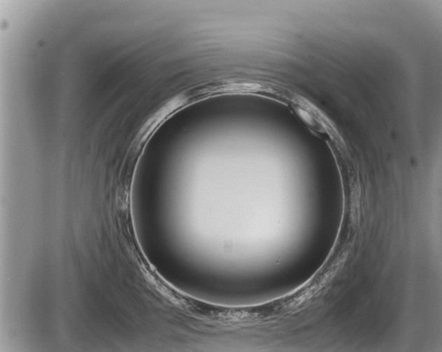 X0000085811193200703231328