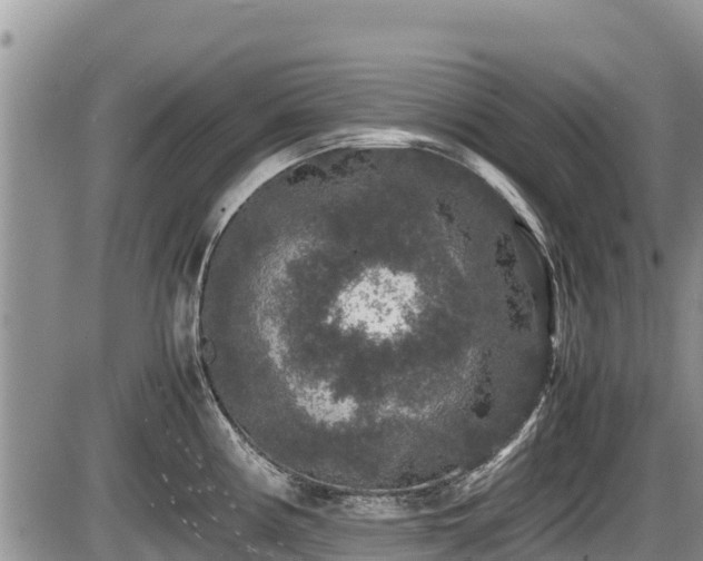 X0000085811194200703231328