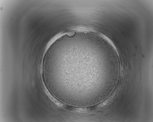 X0000085811195200703231328