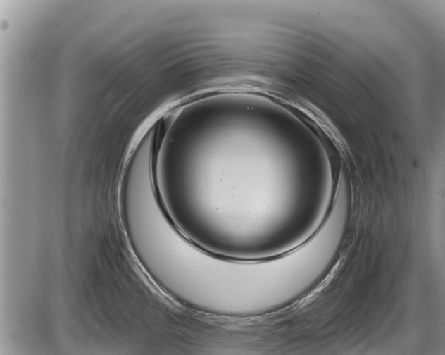 X0000085811196200703231328