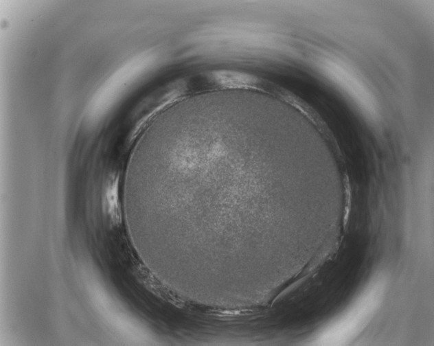 X0000085811198200703231327