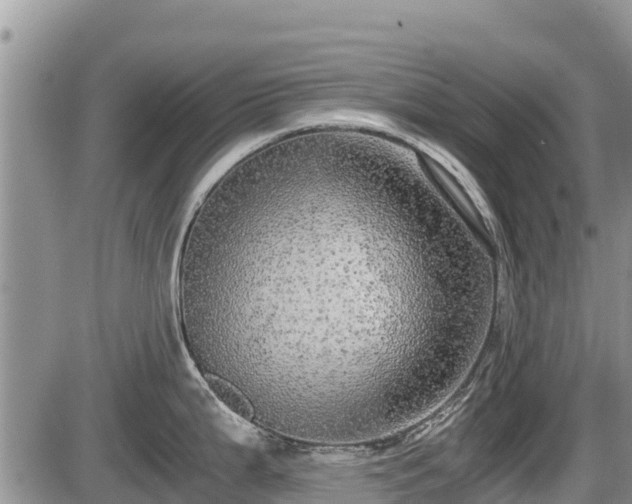 X0000085811199200703231327