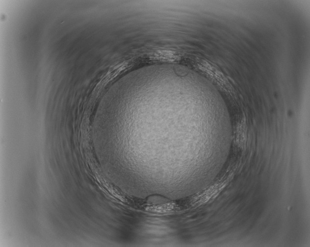 X0000085811201200703231327