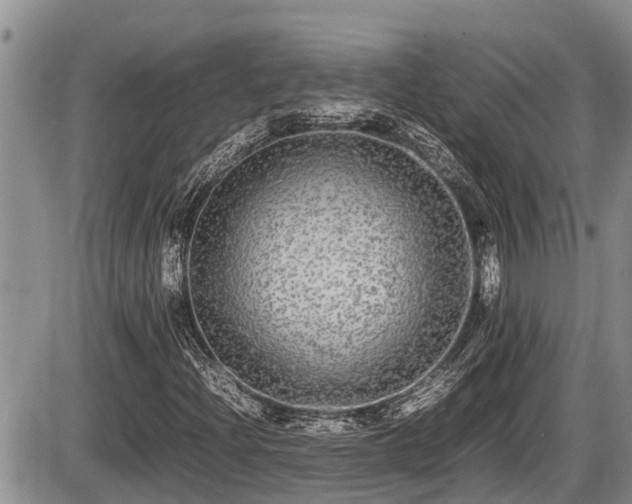 X0000085811204200703231327